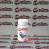 BUY MOROCCAN BLACK THICK-TAILED, BUY ANDROCTONUS CRASSICAUDA
